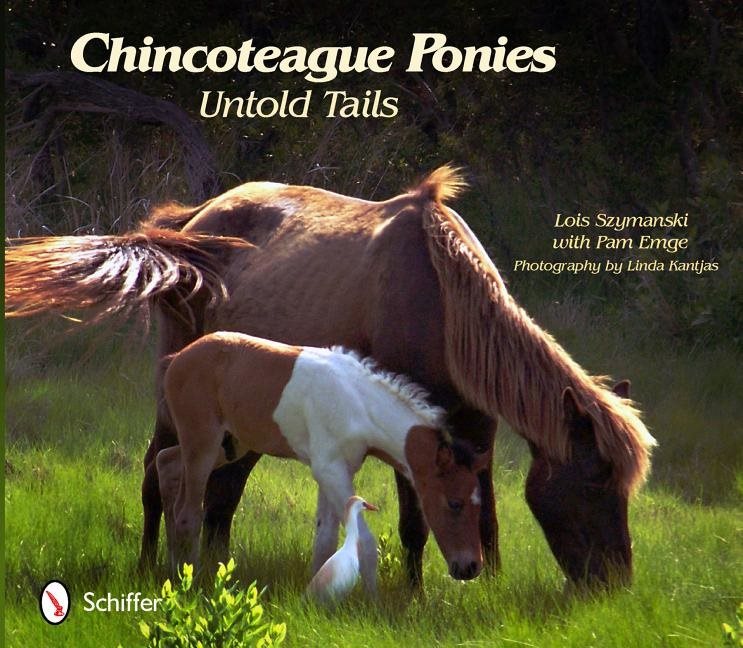Chincoteague ponies - untold tails