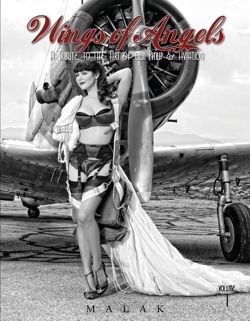 Wings of angels - a tribute to the art of world war ii pinup & aviation