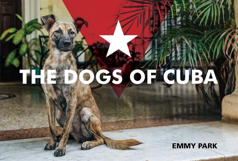 The Dogs Of Cuba