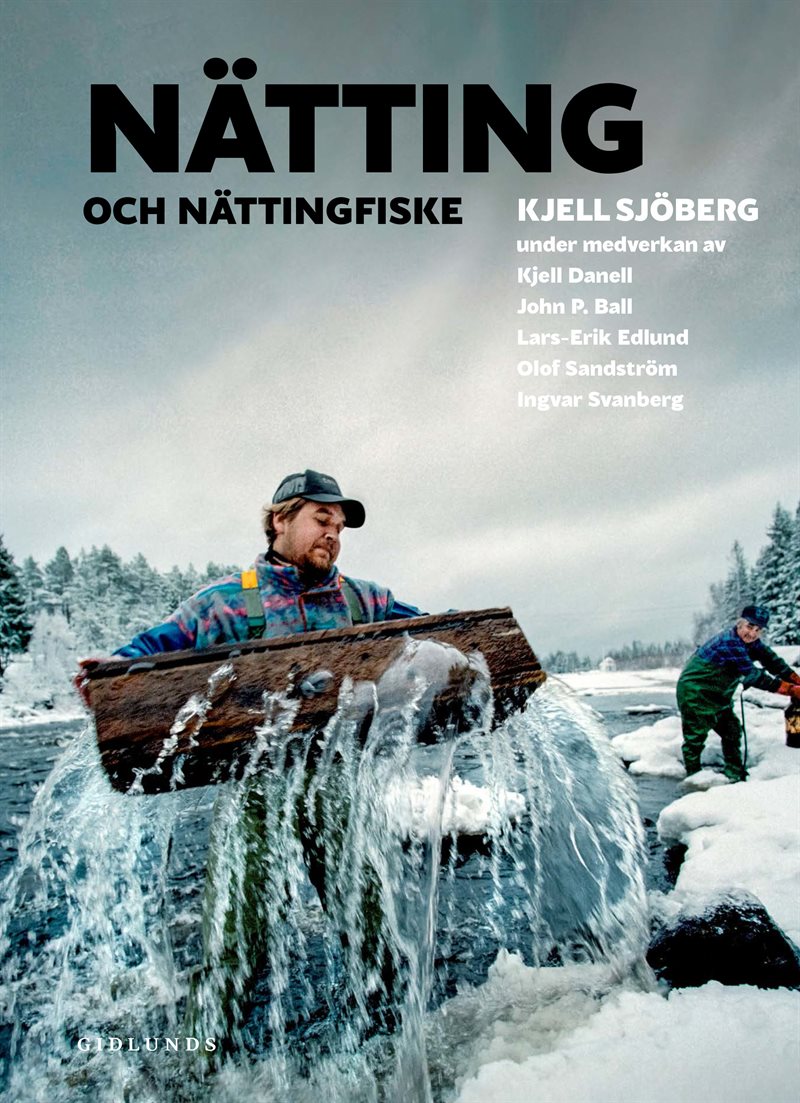 Nätting och nättingfiske