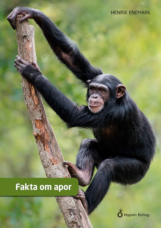 Fakta om apor