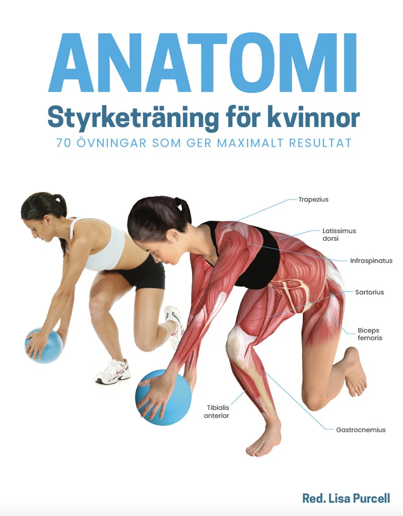 Anatomi - styrketräning för kvinnor : 70 övningar som ger maximalt resultat