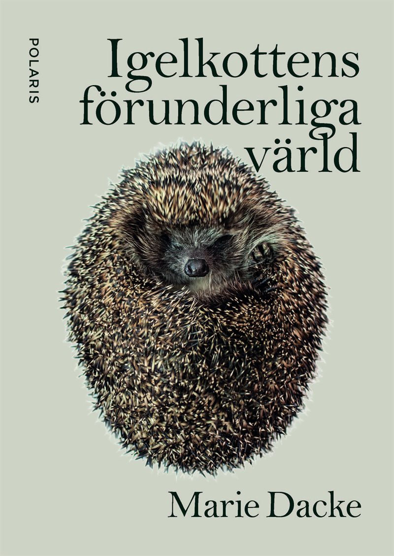 Igelkottens förunderliga värld