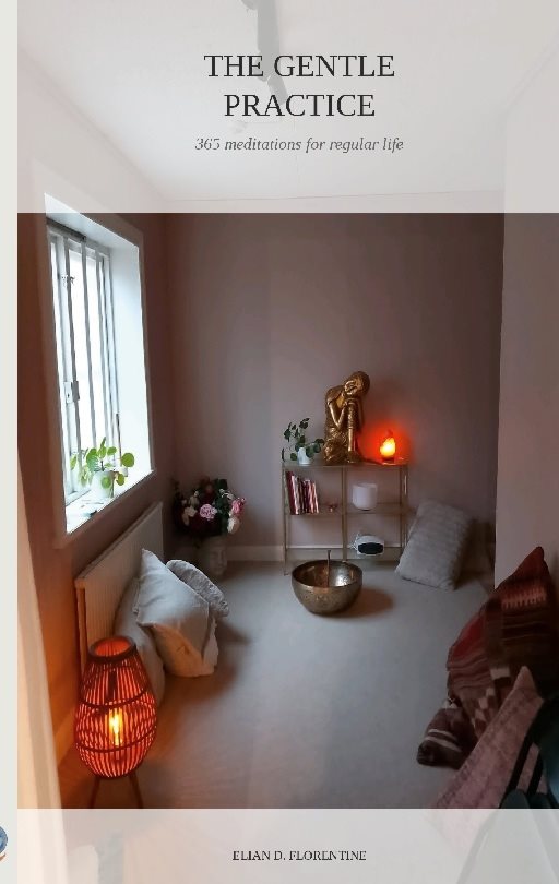 The gentle practice : 365 meditations for regular life