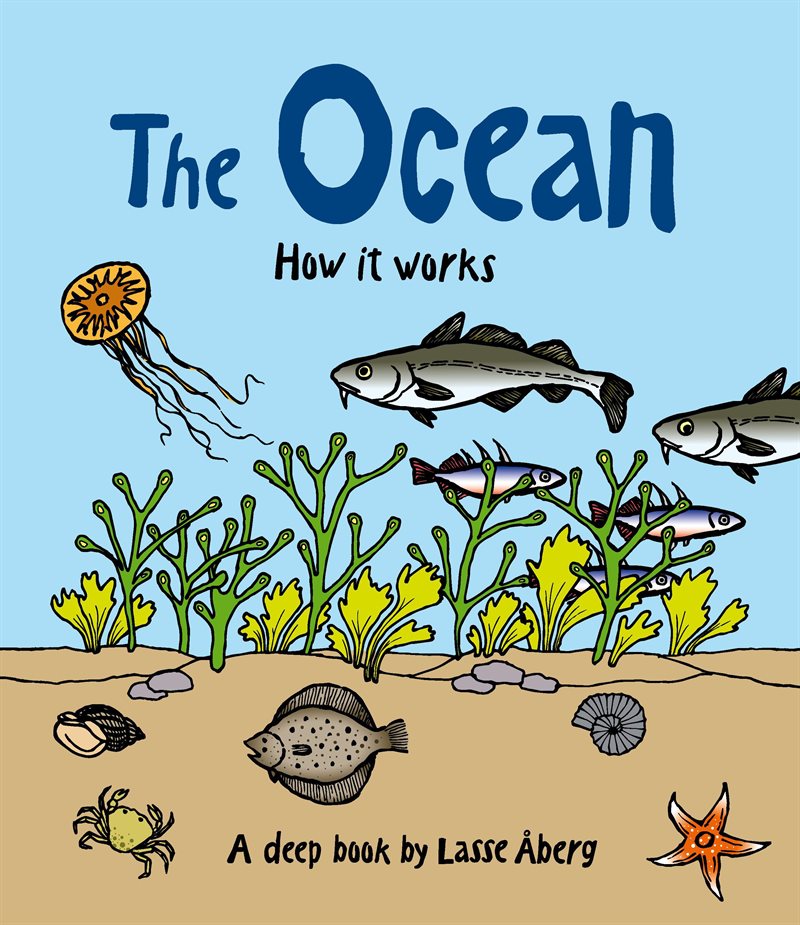 The Ocean - how it works