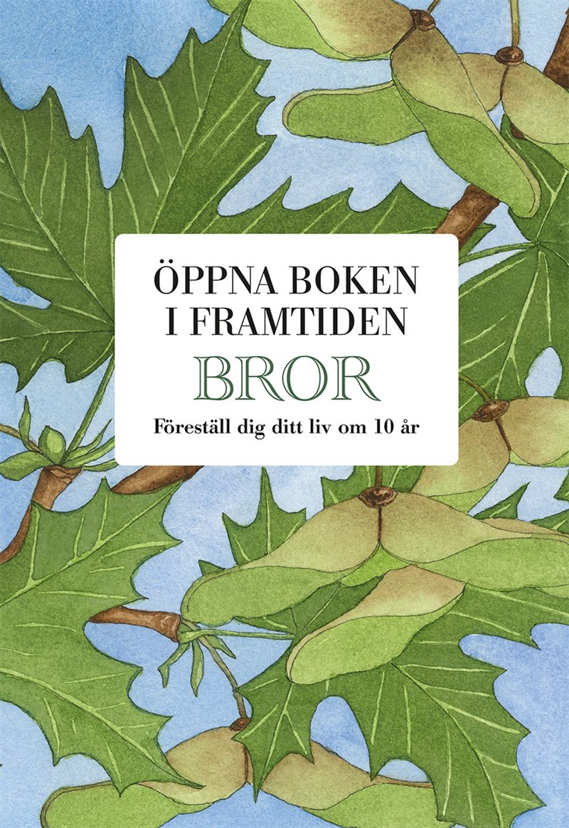 Bror : öppna boken i framtiden