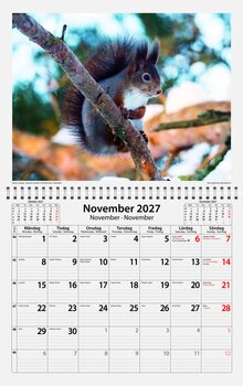 Väggkalender - Sverige Natur FSC