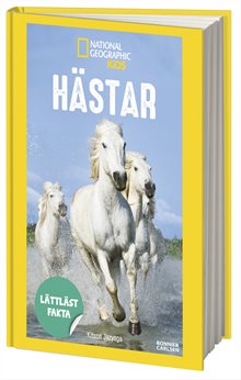 Hästar